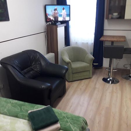 Apartment Ap 1 Im Zentrum Steyr, Bestrooms Eu Eksteriør bilde