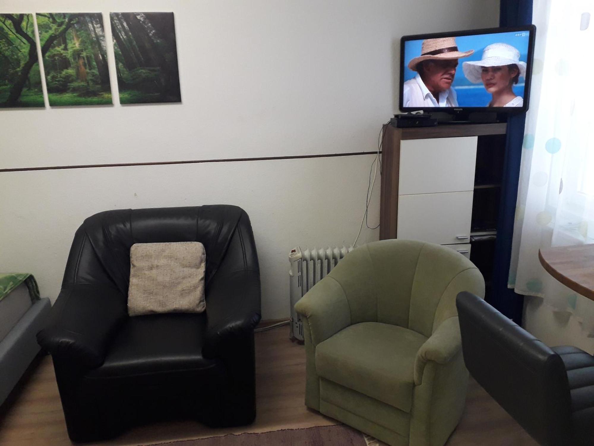 Apartment Ap 1 Im Zentrum Steyr, Bestrooms Eu Eksteriør bilde